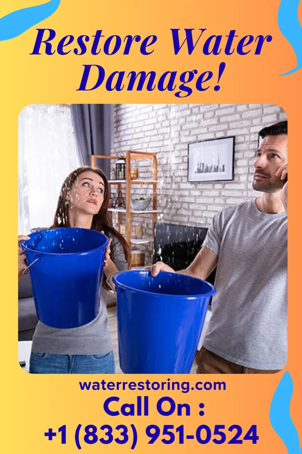 water restoration Master Disaster Recovery Experts Richmond